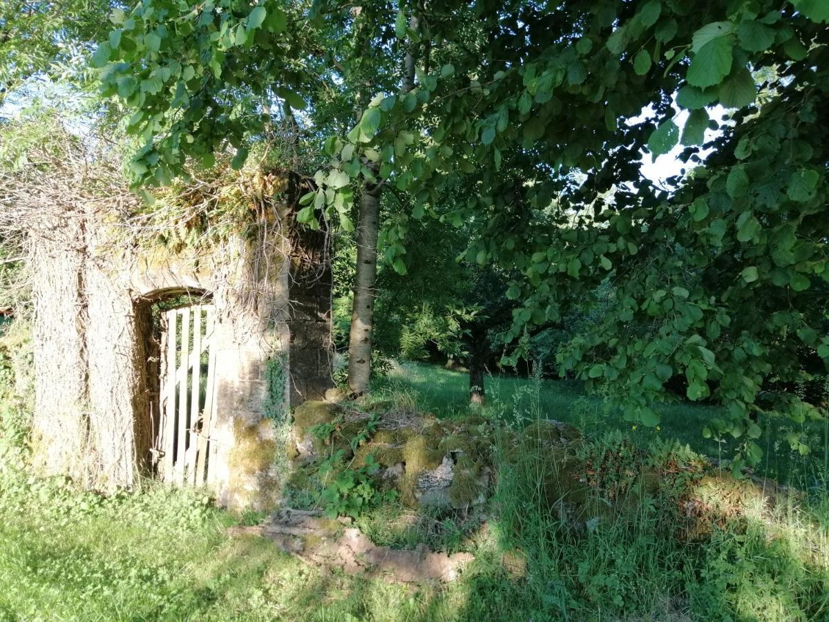 Le Miraillet, Gite Saint-Illide Exterior photo